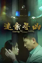 《迷案寻凶》海报