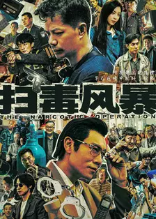 扫毒风暴剧版