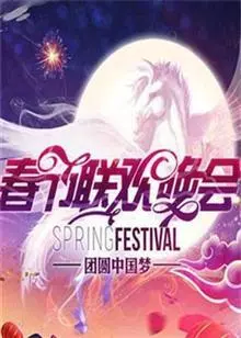 2014湖南卫视春节联欢晚会 海报