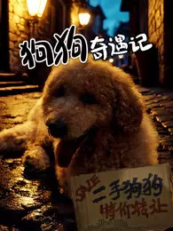 《狗狗奇遇记》剧照海报