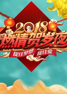 2018浙江卫视春晚 海报
