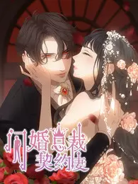 《闪婚总裁契约妻 第1季 命运的玩笑》海报