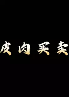 皮肉买卖 海报