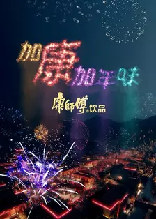 2025加康加年味 海报