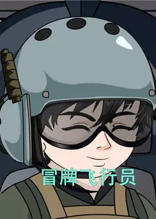 冒牌飞行员