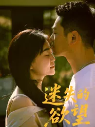 迷失的欲望 海报