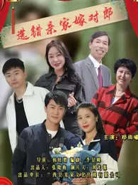 选错亲家嫁对郎 海报