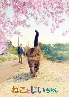 猫与爷爷 海报