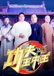 《功夫王中王第3季》海报