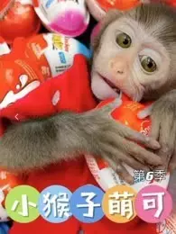 《小猴子萌可 第6季》剧照海报