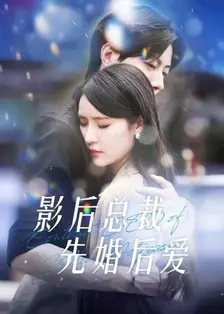 影后总裁先婚后爱