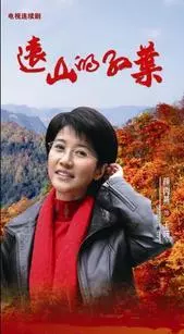 《远山的红叶》剧照海报