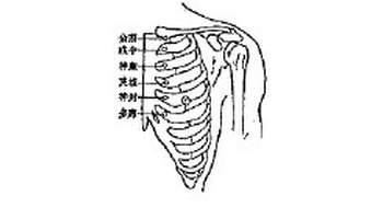 俞府穴