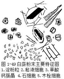 君子不器810 馆藏分类 粉末特征:淡红棕色.