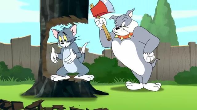 猫捉老鼠 狗狗在后