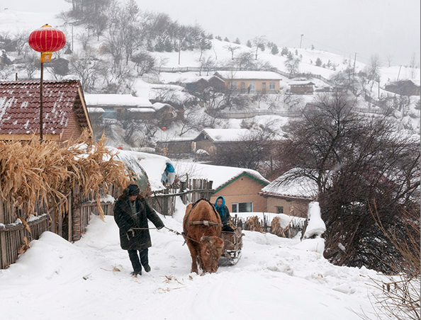 东北农村人的生活,艰苦而温馨a
