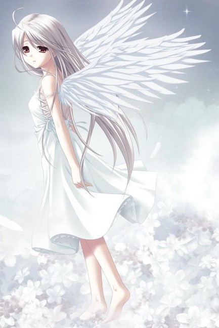 白色天使动漫图片