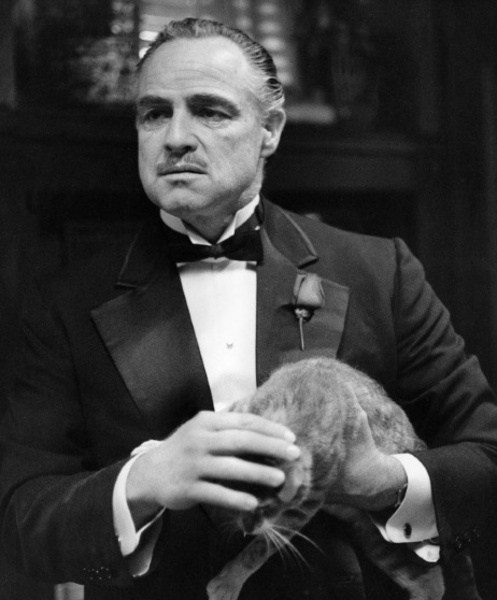 这场影史上著名的强暴戏,竟然是假戏真做