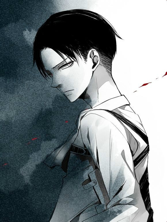 职业:调查兵团兵长,特别作战班班长 代表作品:进击的巨人 年龄:30代前