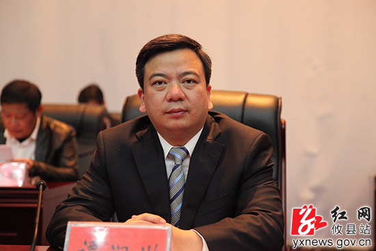 湖南省攸县县委书记谭润洪作讲话