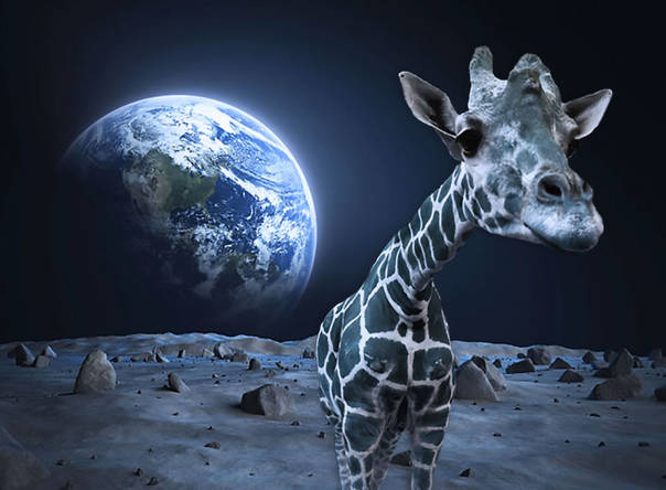 能打破二次元屏障,这些宇宙生物的后台一个比一个硬