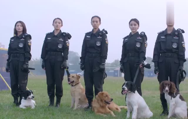 警花與警犬