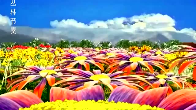 丛林节奏 第一季