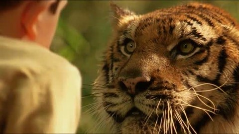 几分钟看完超感人剧情片《虎兄虎弟》豆瓣8.