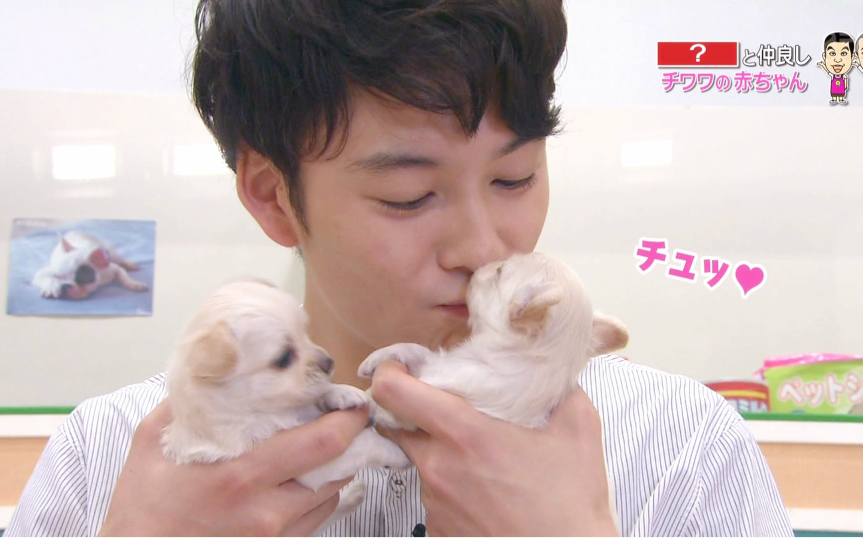 【冈田将生】160723天才!志村动物园.part[808p]【将森.中字】