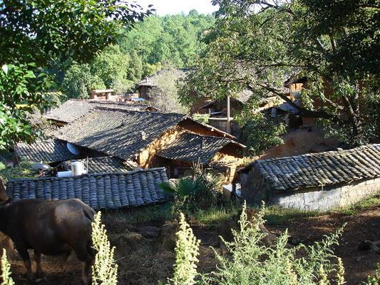 村貌 該行政村屬宣威市龍潭鎮,地處鎮西南邊,距鎮政府所在地15