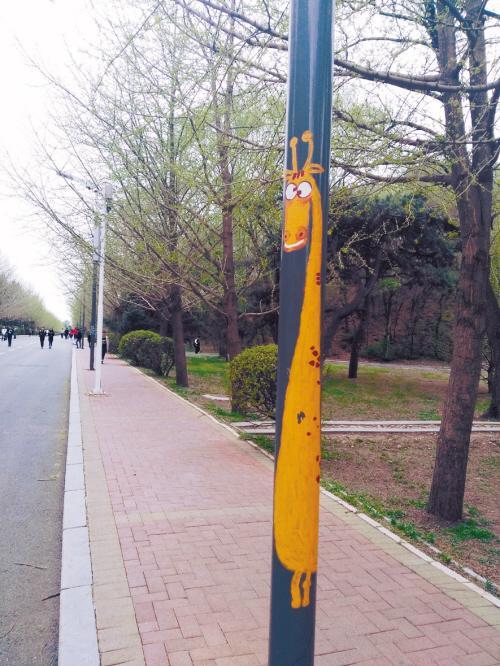 记者了解到,创意"灯杆画"是由沈阳农业大学"韵律生态","智行旅游","