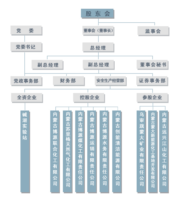 某著名咨询公司-联想-组织结构设计咨询报告]