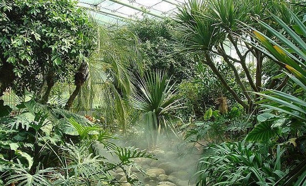 南京中山植物园温室图片