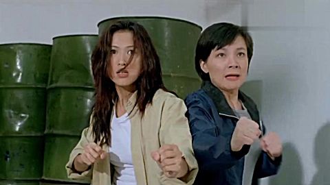 香港经典警匪片《猎豹行动》主演:元华 大岛由加利