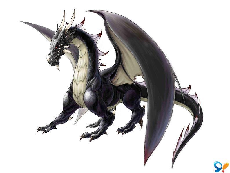 黑龙-《龙与地下城》中的角色