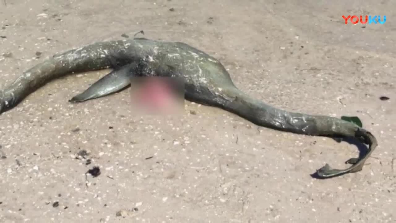 三分钟带你看完奇幻冒险片《尼斯湖水怪》,非常感人