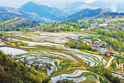 重庆忠县涂井乡万顺村的冬水田风光如画.余鸿 摄
