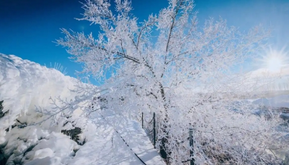 黑龙江一地停课