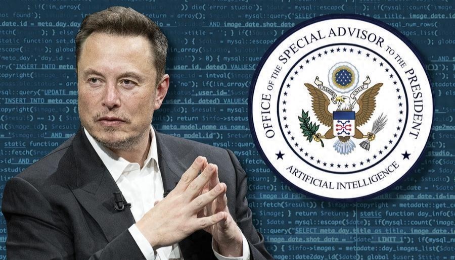 马斯克个人财富新高